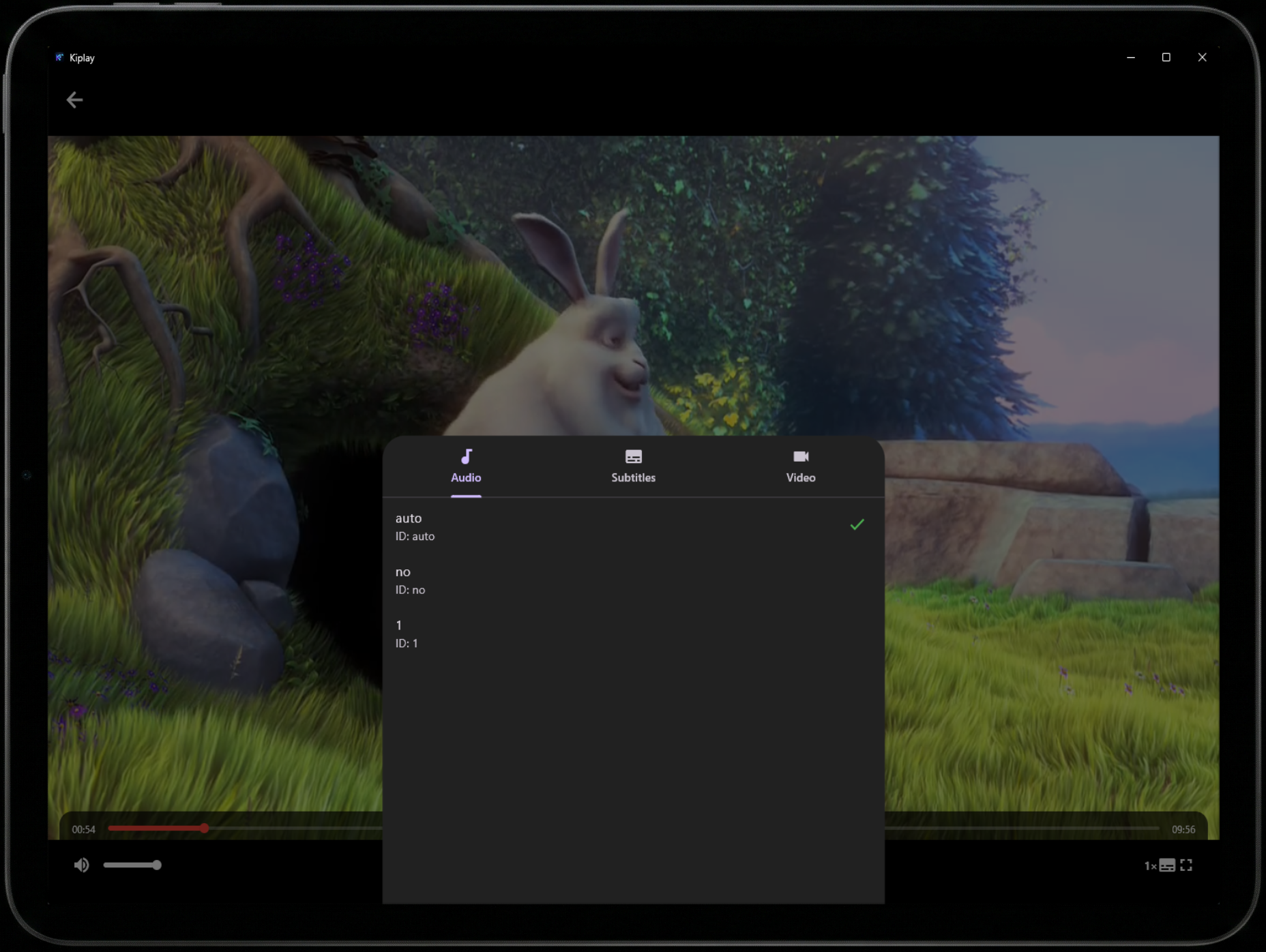 Playback & Track Selection